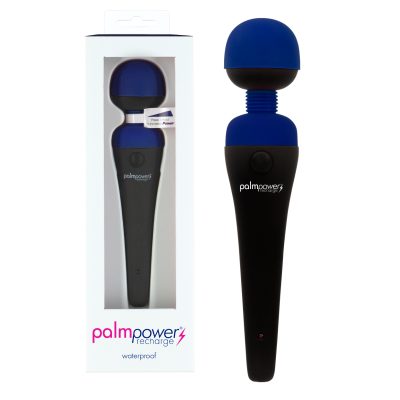 BMS PalmPower Recharge Wand Massager Blue 30614 677613306142 Multiview