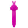 BMS Palmpower VIBEZ Rechargeable Vibrating Rabbit Wand Pink 21216 677613212160 Front Detail