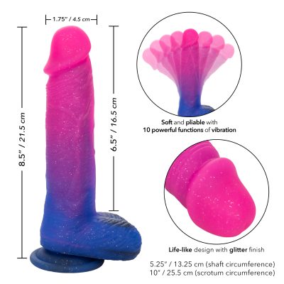 Calexotics Naughty Bits Ombre Hombre XL Vibrating Silicone Dong Glittery Ombre Pink to Purple SE 4410 70 3 716770103918 Info Detail