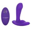 Calexotics Silicone Remote Pinpoint Pleaser Purple SE 0077 65 3 716770089847 Detail