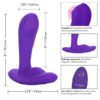 Calexotics Silicone Remote Pinpoint Pleaser Purple SE 0077 65 3 716770089847 Size Detail