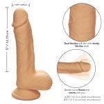 Calexotics Silicone Studs 5 inch Dual Density Dong with Balls Light Flesh SE 0255 05 3 716770104243 Info Detail