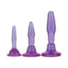 Doc Johnson Wendy Williams Anal Training Kit 3 Pc Purple 5350 07 CD 782421015008 Detail