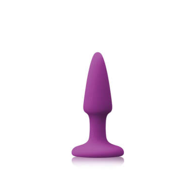 NS Novelties Colours Pleasure Plug Butt Plug Mini Purple NSN 0413 15 657447101854 Detail