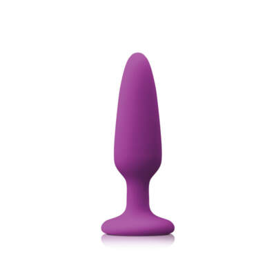 NS Novelties Colours Pleasure Plug Butt Plug Small Purple NSN 0413 25 657447101908 Detail