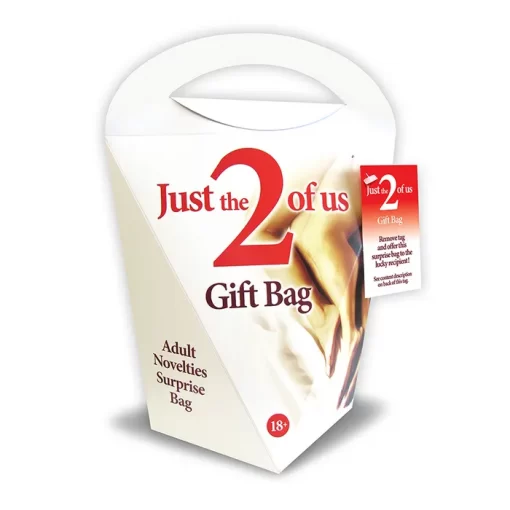 Ozze Creations Just the 2 of Us Adult Novelties Gift Bag SGB06 623849032522 Boxview