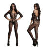 Shots Le Desir Long Sleeved and Lace Bodystocking OSFM DES033BLKOS 8714273495556 Detail