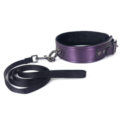 Spartacus Galaxy Legend Collar and Leash Purple SPU301PU 669729803271 Detail