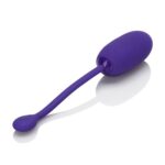 se-1328-05-2 - Calexotics Rechargeable Kegel Ball Silicone Purple